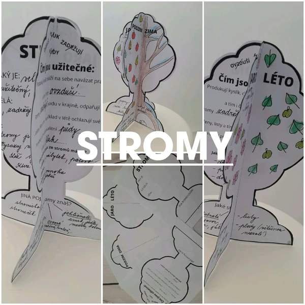 STROMY