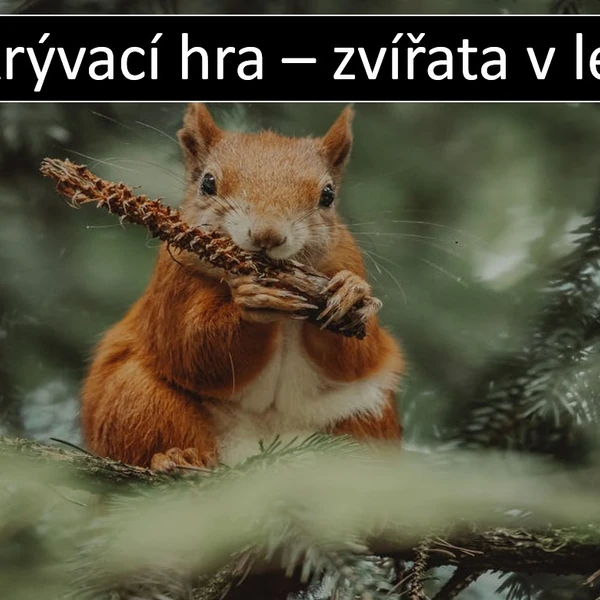 Odkrývací hra - zvířata v lese