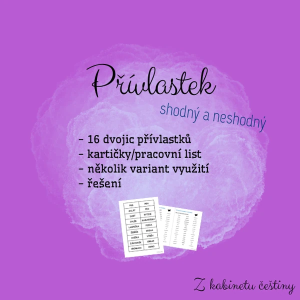 Přívlastek shodný a neshodný