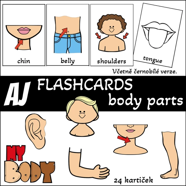 Flashcards - body parts (části těla)