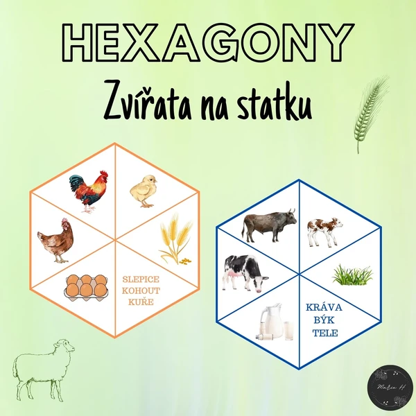 Zvířata na statku, hexagony