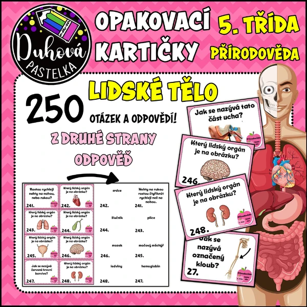 Opakovací kartičky - LIDSKÉ TĚLO - přírodověda