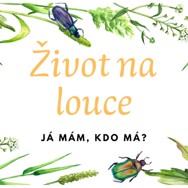 Já mám, kdo má - Život na louce