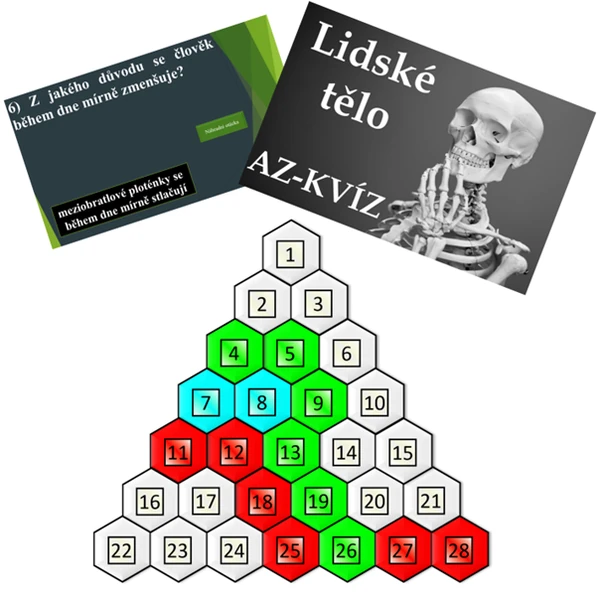 AZ KVÍZ: Lidské tělo