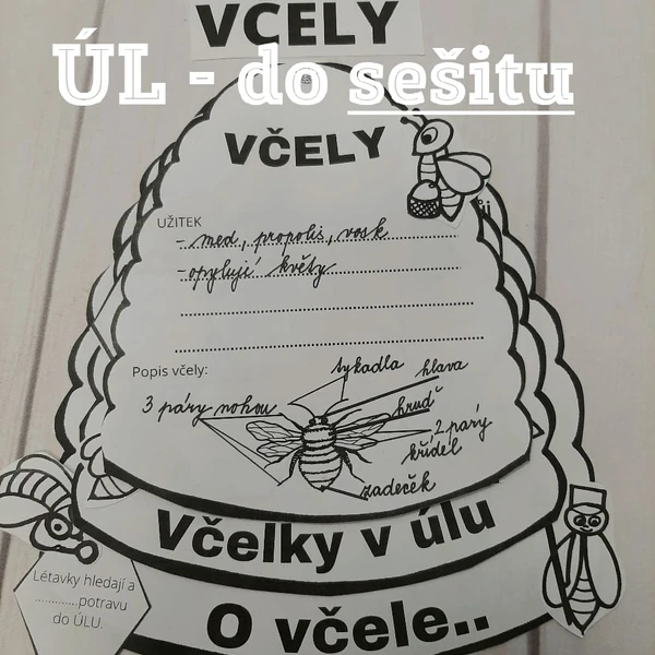 VČELY - ÚL DO SEŠITU