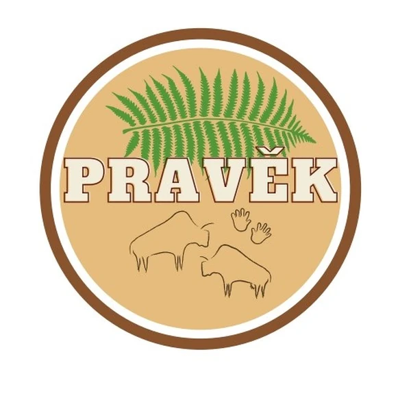 Postřehová hra - pravěk 
