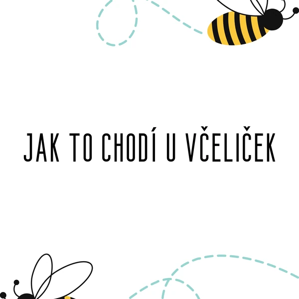 Jak to chodí u včeliček