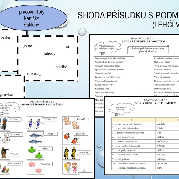 Shoda přísudku s podmětem