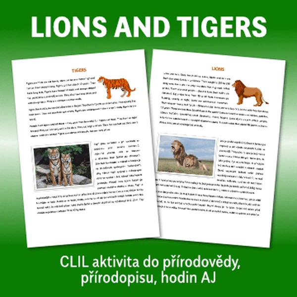 CLIL - LIONS AND TIGERS