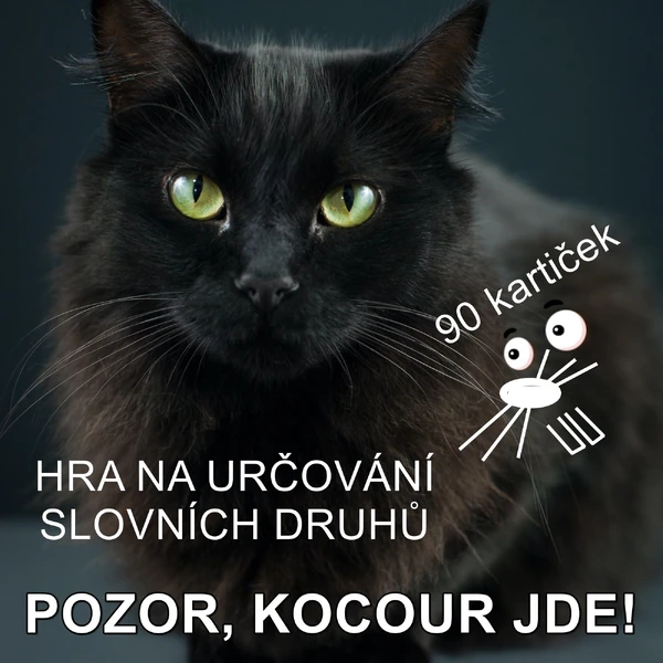 SLOVNÍ DRUHY