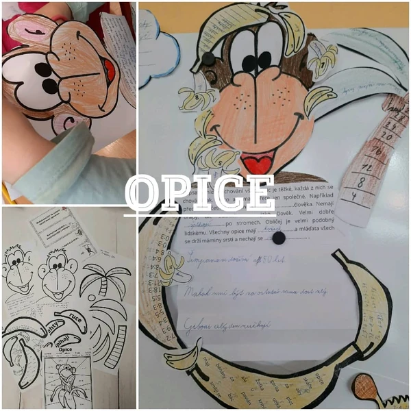 Opice 2.-3. třída