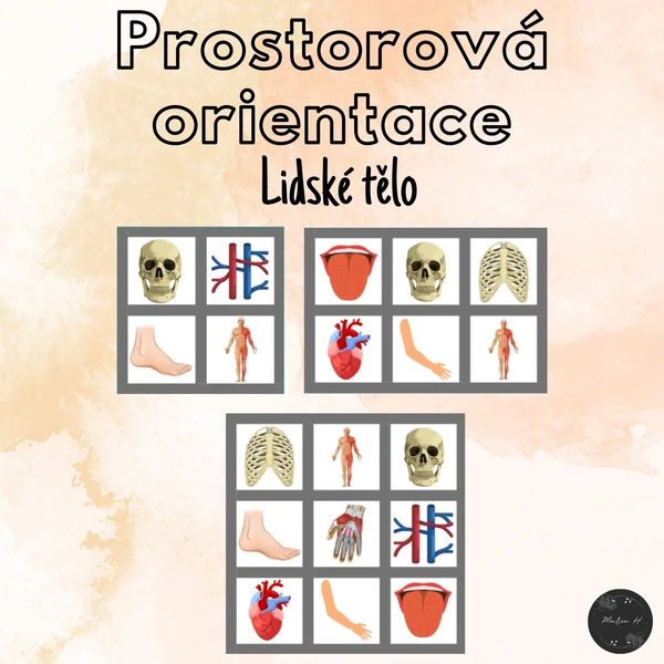 Lidské tělo, prostorová orientace
