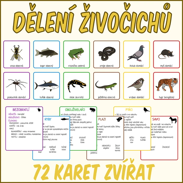 Dělení živočichů