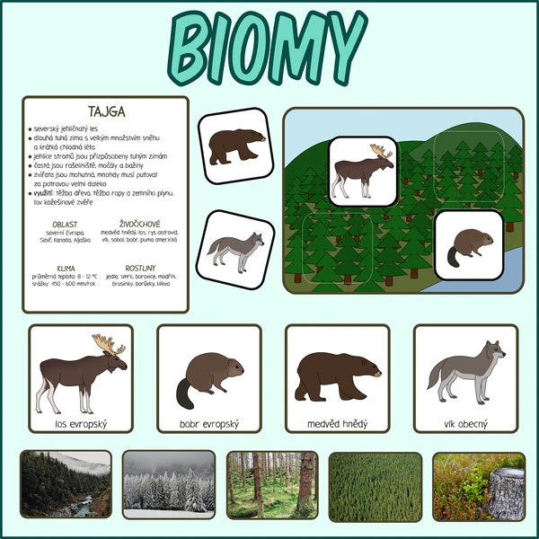 Biomy