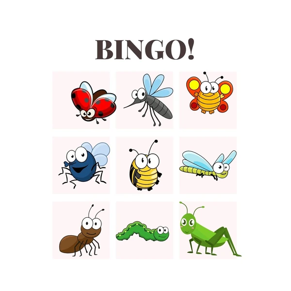 BINGO - HMYZ