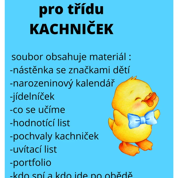 Třída kačenek