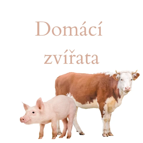 zvířátka na statku - demonstrační obrázky