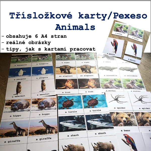 Třísložkové karty/Pexeso Animals