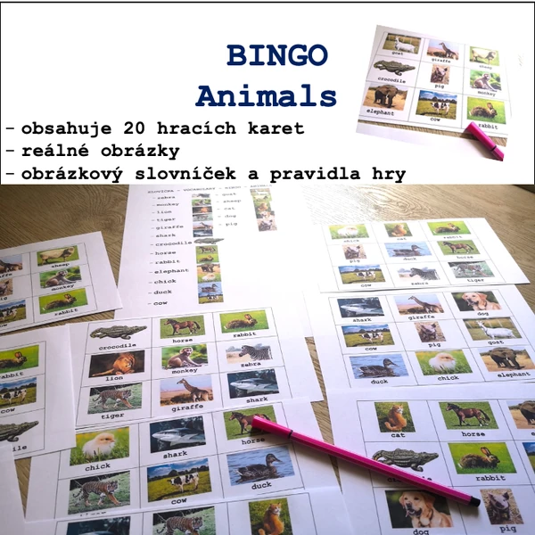 Bingo - Animals