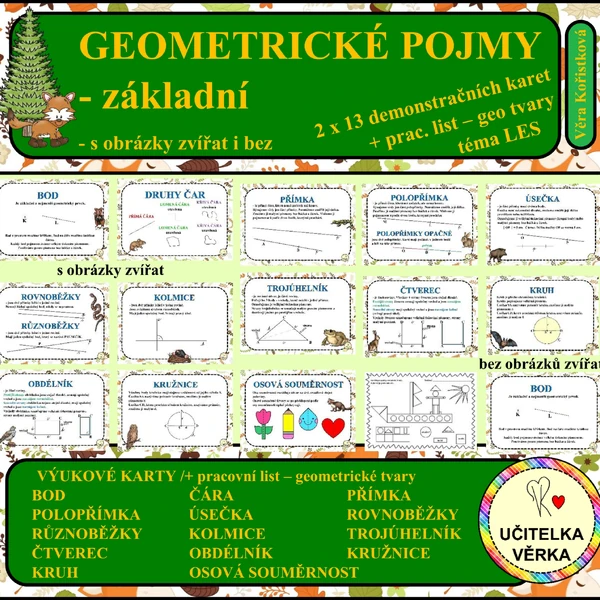 ZÁKLADNÍ GEOMETRICKÉ POJMY – téma – LES