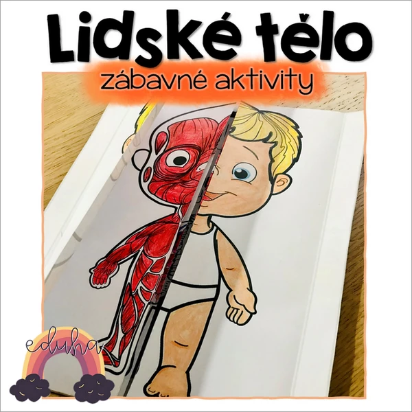 O LIDSKÉM TĚLE - Zábavné Aktivity