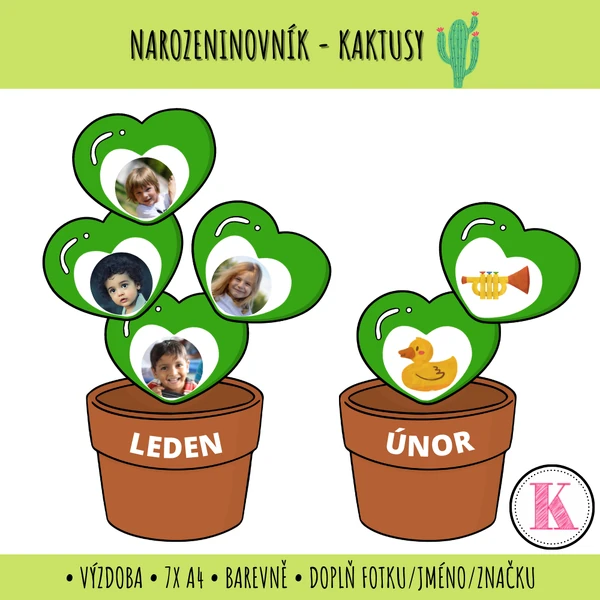 Narozeninovník kaktus - výzdoba