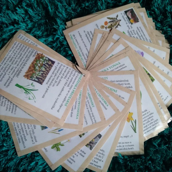 Jarní bojovka 50 přírodních kartiček🌹🌿🦆🦋🌳🌷