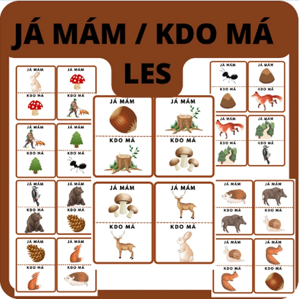 JÁ MÁM / KDO MÁ - LES