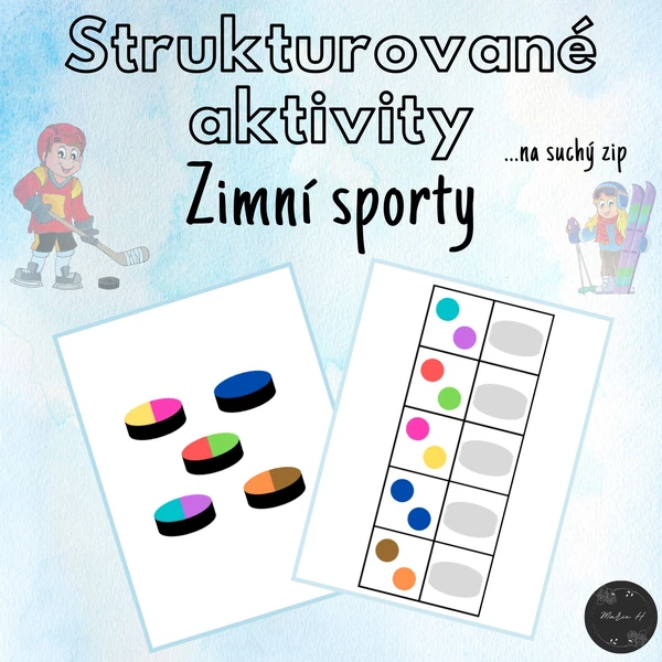 Zimní sporty, strukturované aktivity