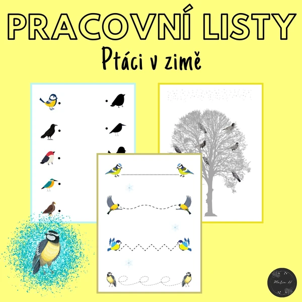 Ptáci v zimě, pracovní listy