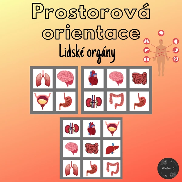 Lidské orgány, prostorová orientace