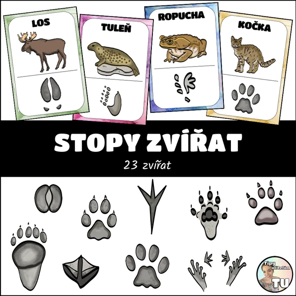 Stopy zvířat - demonstrační karty
