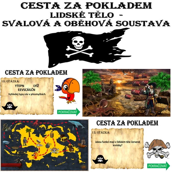 Cesta za pokladem - svalová a oběhová soustava