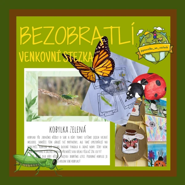 Bezobratlí živočichové - venkovní stezka a pozorování