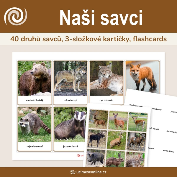 Naši savci - 40 druhů savců, 3-složkové kartičky, flashcards