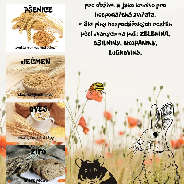 Přírodní společenstva