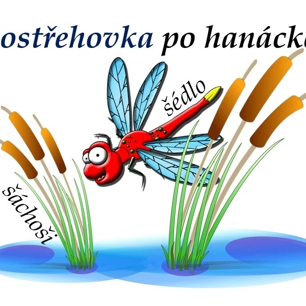 Postřehovka po hanácke!