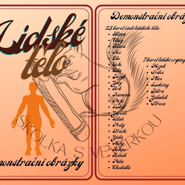 LIDSKÉ TĚLO demonstrační obrázky