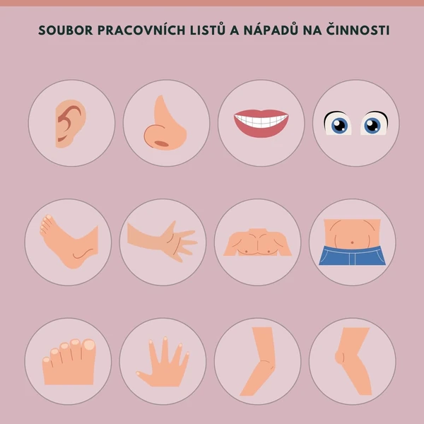 LIDSKÉ TĚLO pracovní listy a činnosti
