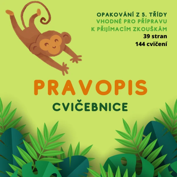 Pravopisná cvičebnice – opakování z 5. třídy (vhodné i k přijímačkám)