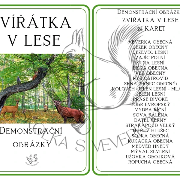ZVÍŘÁTKA V LESE - demonstrační obrázky