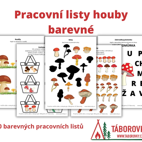 Pracovní listy houby - barevné