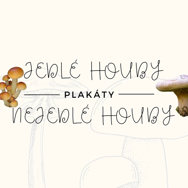 PLAKÁTY "JEDLÉ A NEJEDLÉ HOUBY"