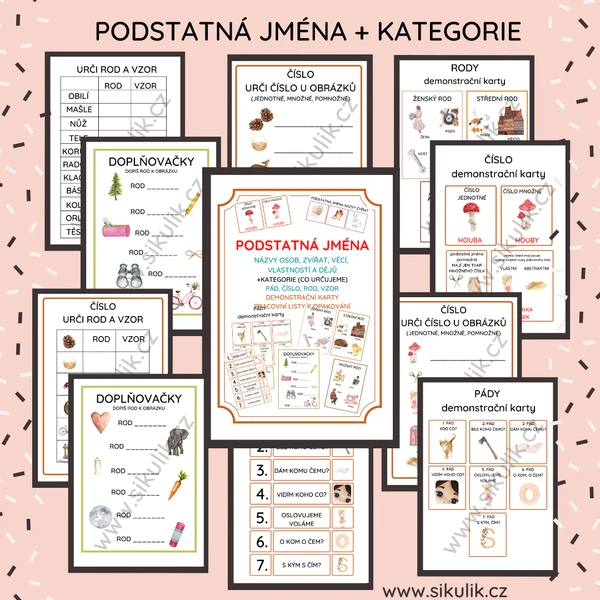 PODSTATNÁ JMÉNA + KATEGORIE (CO URČUJEME) PÁD, ČÍSLO, ROD, VZOR