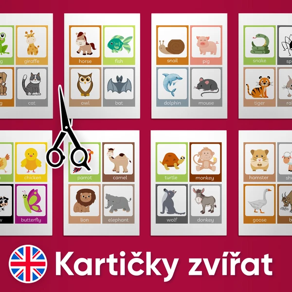 Kartičky zvířat - angličtina