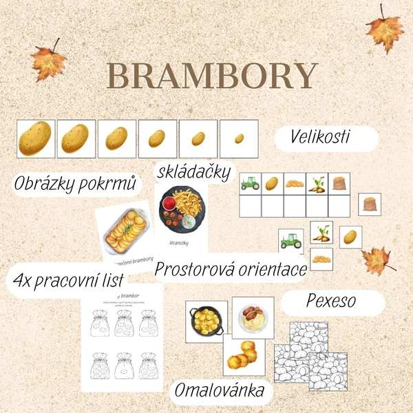 Zelenina - brambory