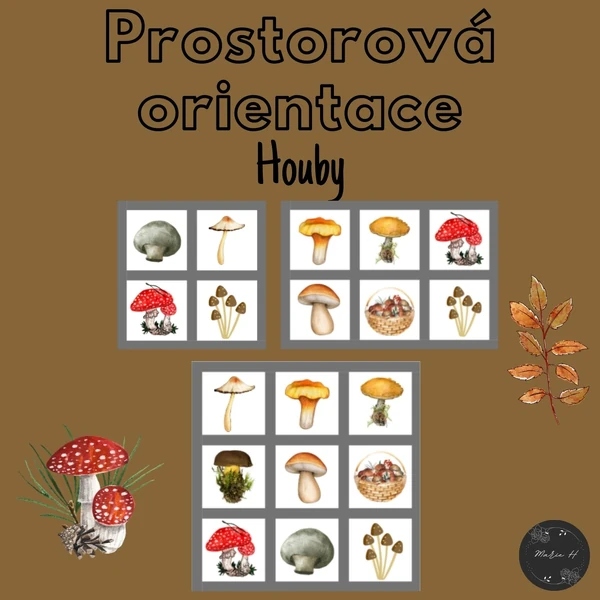 Houby, prostorová orientace