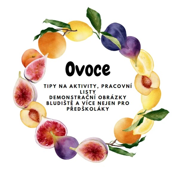 Ovoce 