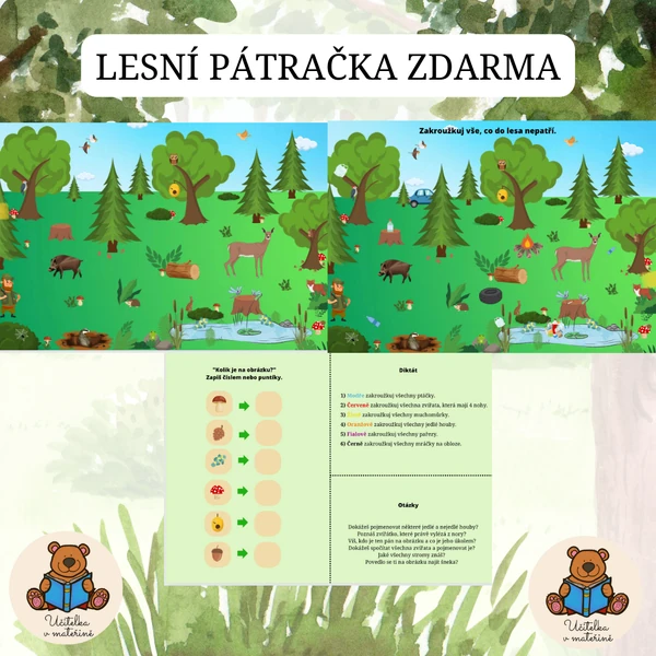 Lesní pátračka
