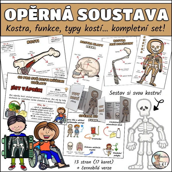 Opěrná soustava (kosterní), kostra - kompletní set